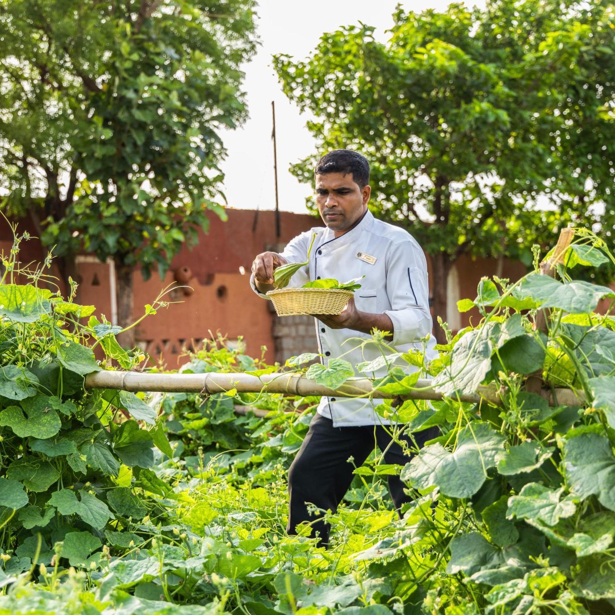 Vijayshree Resort, Hampi Exteriör bild